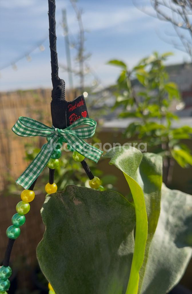 박쥐란 헌팅트로피 행잉플랜트 작품--1