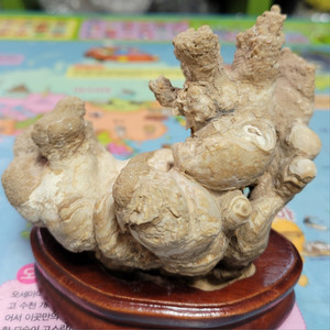 종류석2점