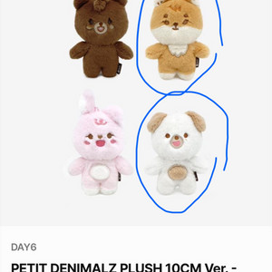 데이식스 데니멀즈 쁘멀 쁘띠멀즈 케돈