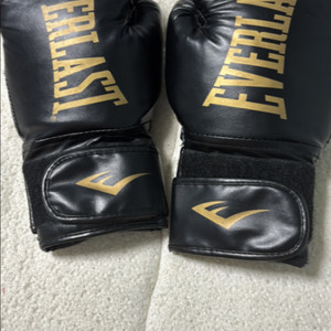 에버라스트 복싱 글러브 만원에 듭처