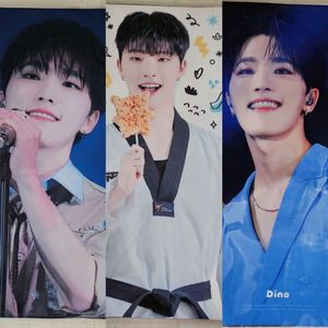 세븐틴 디노 슬로건 콘서트 캐럿랜드 캐랜 캐럿봉 포카