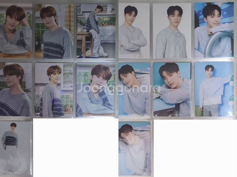 세븐틴 디노 포카 트레카 일본 홈 md 콘서트 팬미팅--1