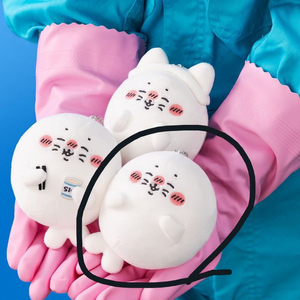 나가노 팝업 마켓 쿠지 아자라시 물범 누이 마스코트