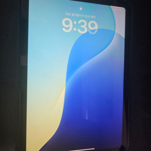 아이패드미니7 wifi 256기가 블루