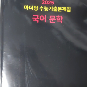 마더텅 2025 국어문학