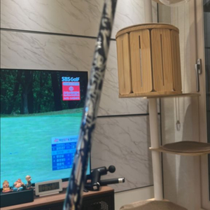 qi35 max 몬스타 6s 티타늄샤프트