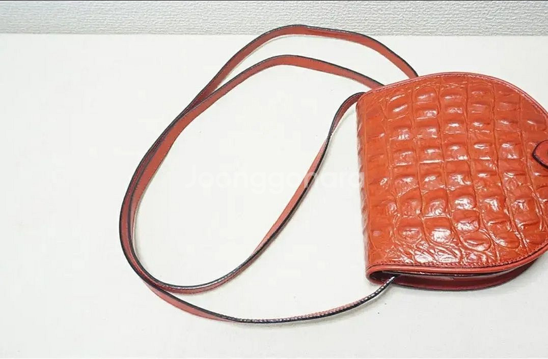 아이그너 크로스바디--4