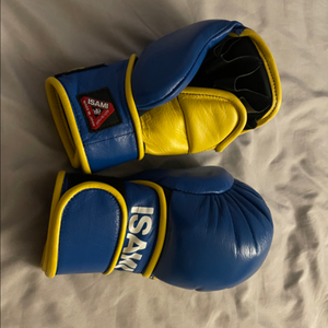 ISAMI 이사미 MMA 오픈핑거 파운딩 글러브