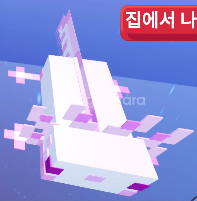 아홀로틀_입양하세요_인테리어_소퓸--0