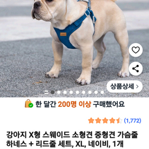 강아지 X형 스웨이드 하네스 세트 민트 새상품 판매합니