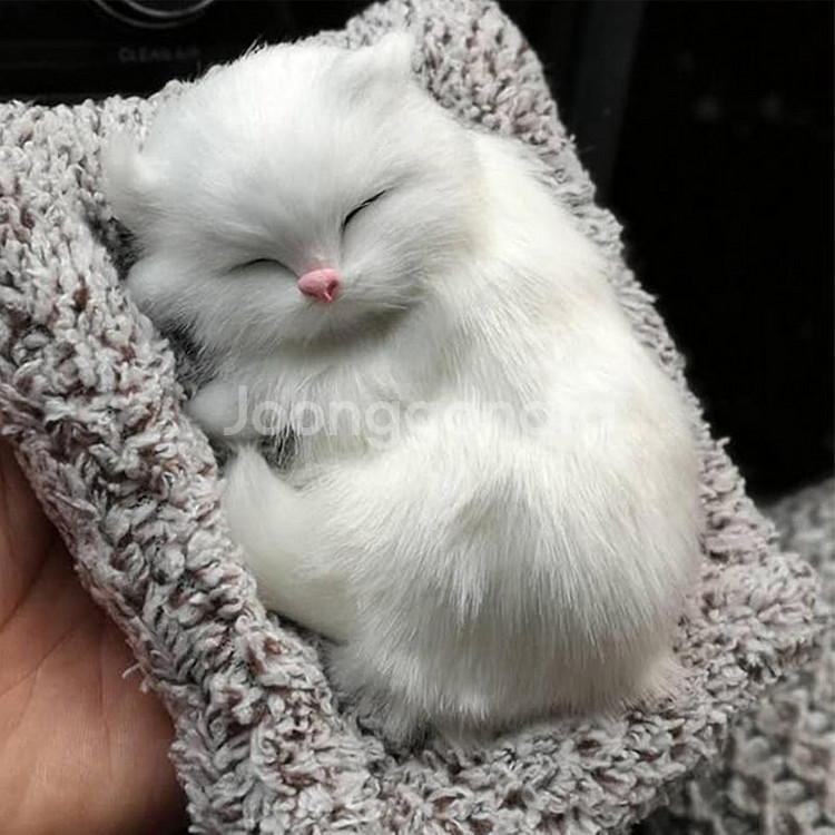 새 앙고라 고양이 차량용 미니 동물 제습 인형 활성탄--2