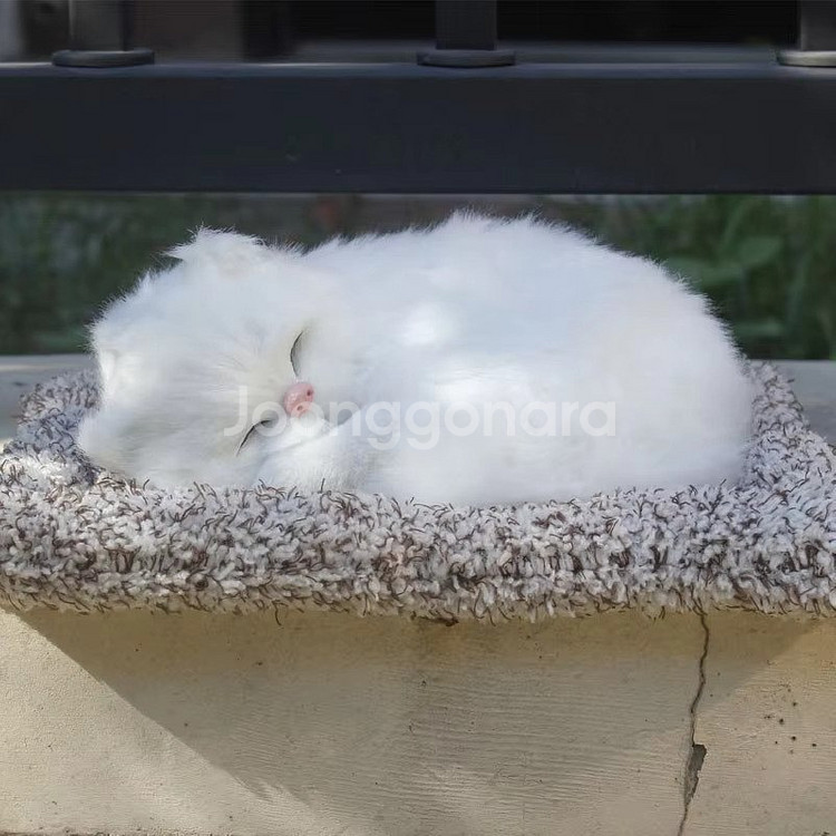 새 앙고라 고양이 차량용 미니 동물 제습 인형 활성탄--3