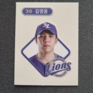 김영웅 띠부실