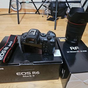 캐논 R6mii + 24-105 F4 렌즈