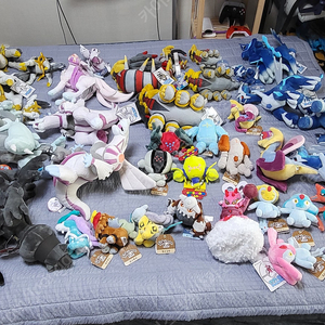 정품 택달린 포켓몬 인형) 전설포켓몬 소장품 초특가