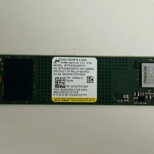 Micron 2450 M.2 NVMe SSD 256GB