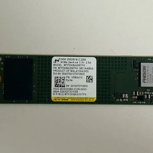 Micron 2450 M.2 NVMe SSD 256GB