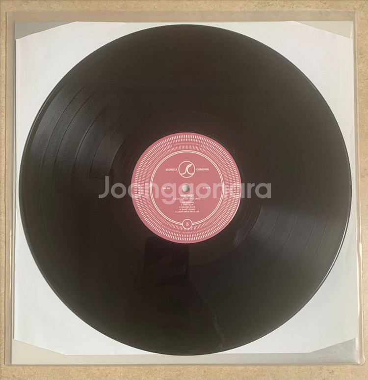 (LP) Whitney(휘트니)--2