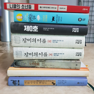 니클의소년들 오베라는남자 장미의이름 호빗 8종