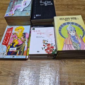 황미나 만화책