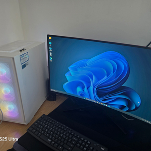 RTX4060 본체 모니터 급처합니다.