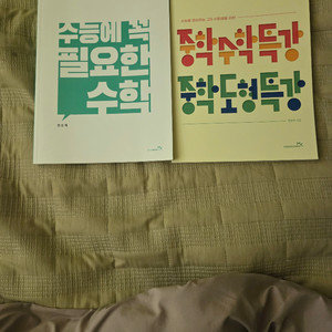 정승제 수꼭필 중학특강