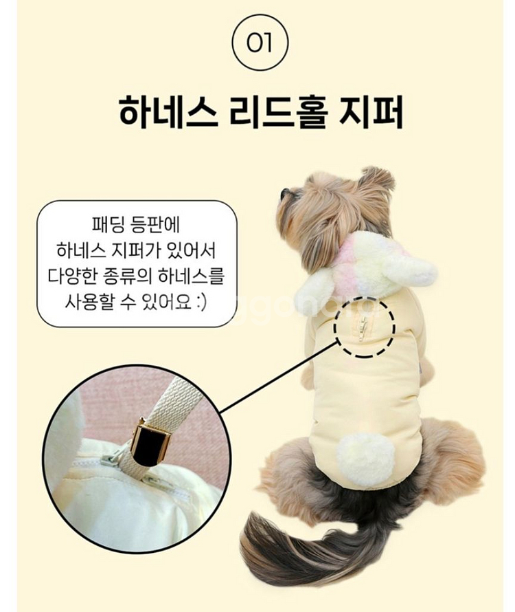 이츠독 강아지 솜사탕 베어 소프트 패딩, 옐로우, XL--2