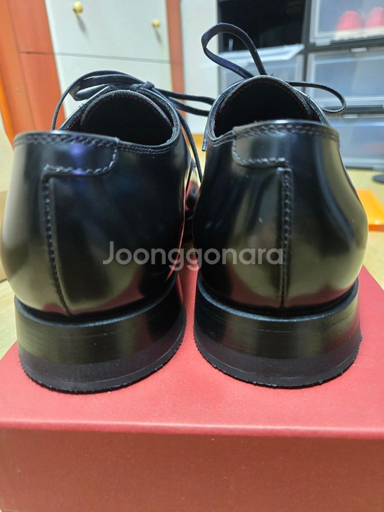 (새상품) 그라더스 blucher15 더비슈즈 255--6