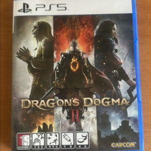 드래곤즈 도그마2