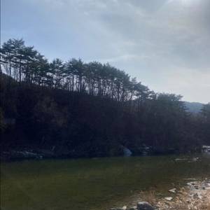 교환) 한화 어쎈틱 썸니폼 115 노시환