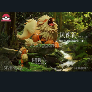 zxz 윈디 a 팝니다 포켓몬 피규어