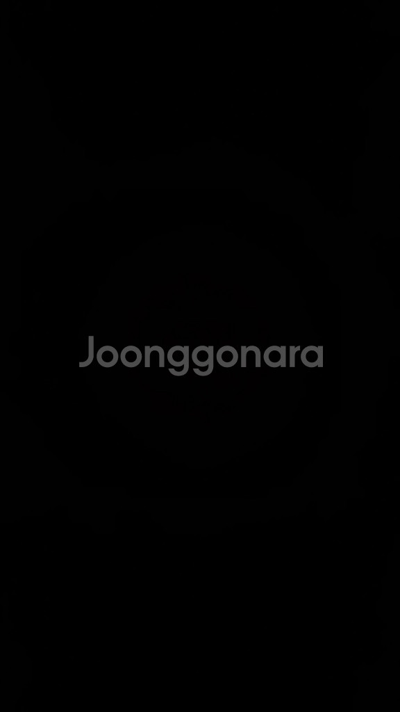 파이펫--0