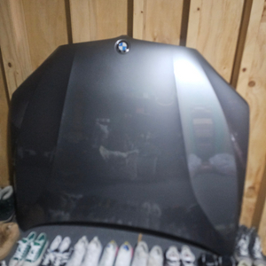 x6 f16 본넷트
