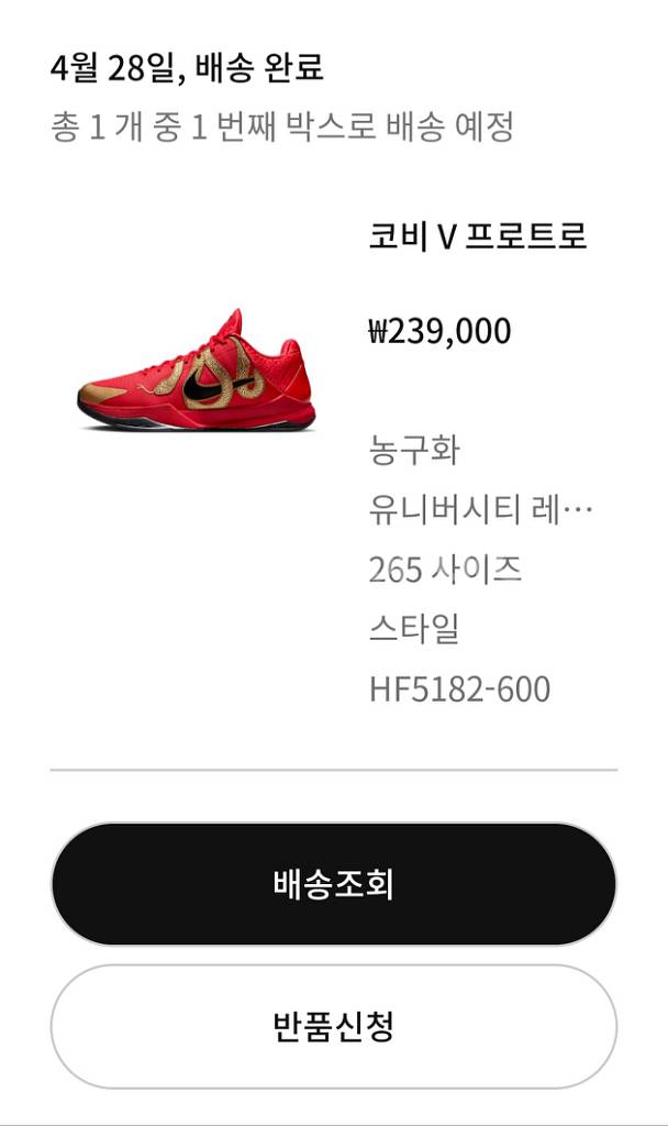 나이키 코비 5 프로트로 이어 오브 더 맘바 유니버시티--3