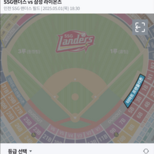 5/1 ssg 랜더스 삼성 라이온즈 3루 덕아웃 2매