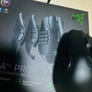 레이저 나가 v2 pro