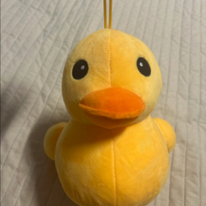 뽑기 인형