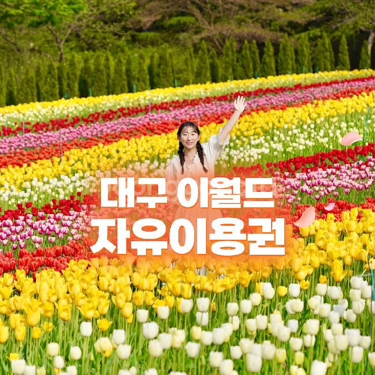 이월드 종일 자유이용권 1매--0
