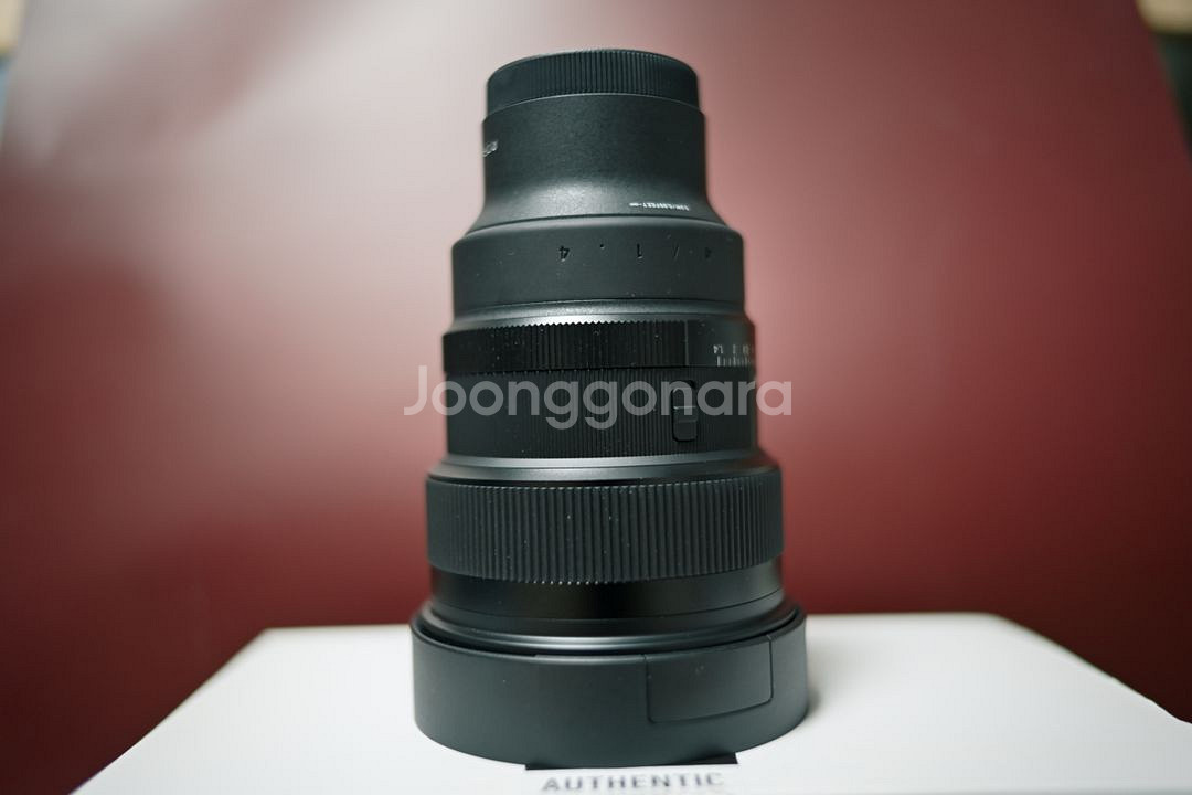 시그마 14mm 1.4 dgdn--3