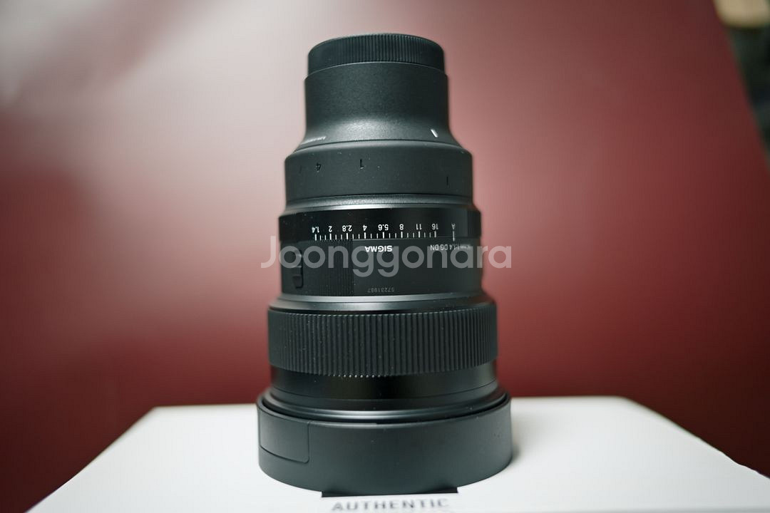 시그마 14mm 1.4 dgdn--4