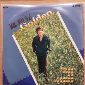 나훈아 골든 lp