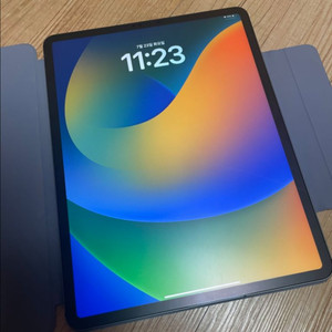 아이패드프로 4세대 12.9 셀룰러 256GB