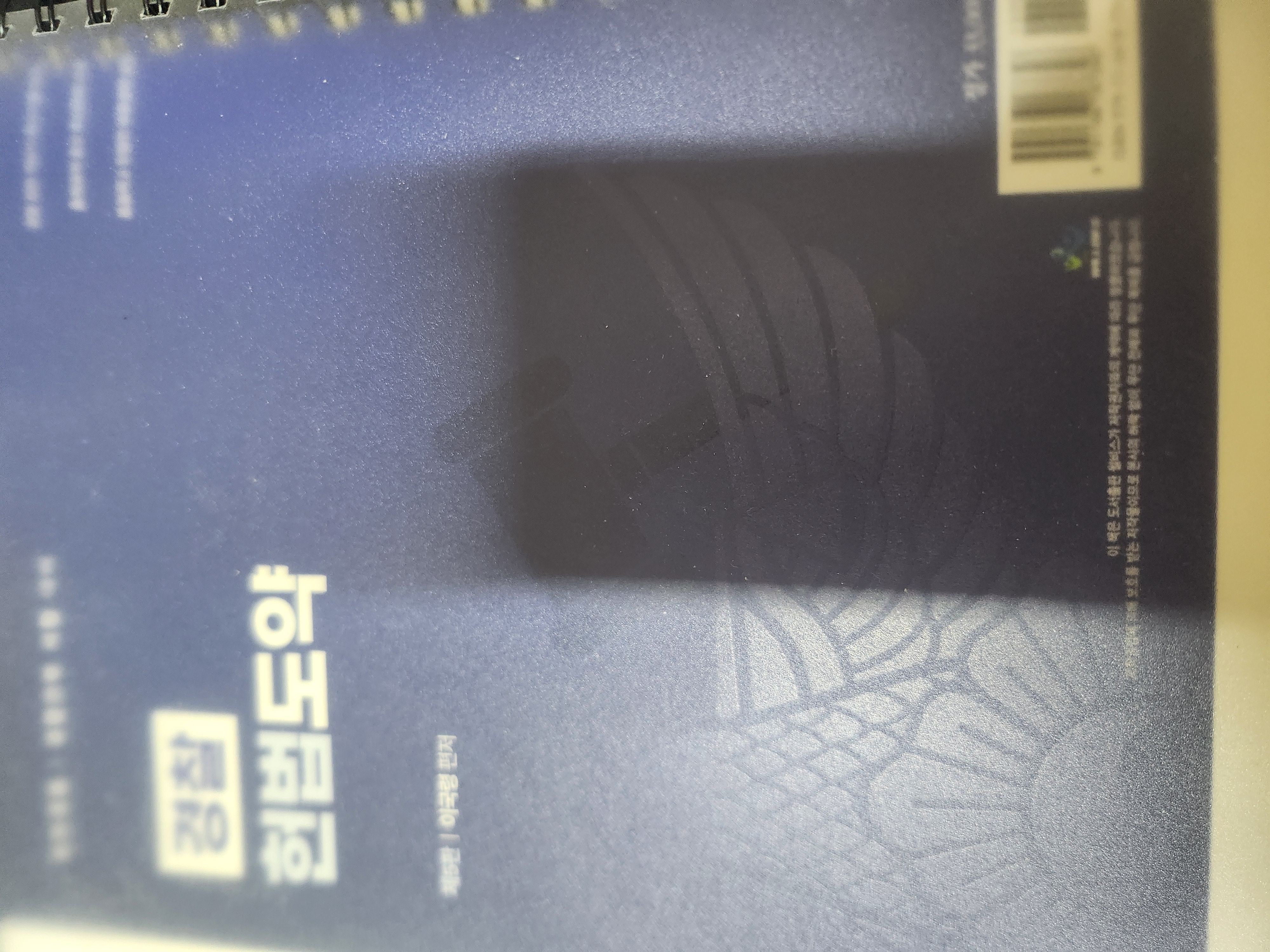 이국령 헌법도약