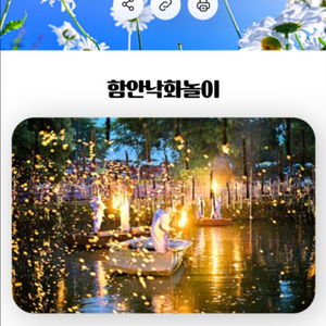 2025 함안낙화 티켓 4장 주차권포함