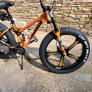팻바이크MTB
