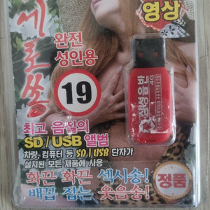 성인용USB팝니다