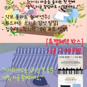 감성악기 칼림바