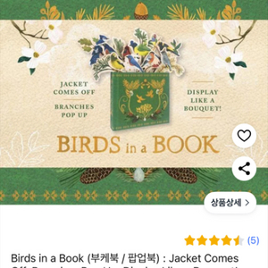 Birds in a Book 팝업북 새상품