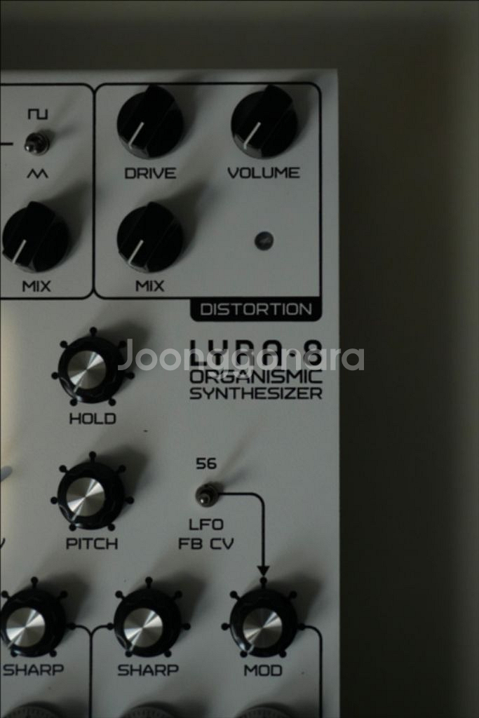 soma Lyra-8 신디사이저--0