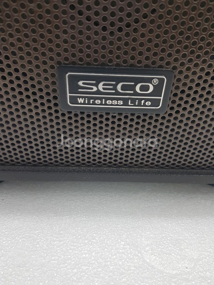 SECO 이동식 엠프 스피커 DWA-400 USB--1
